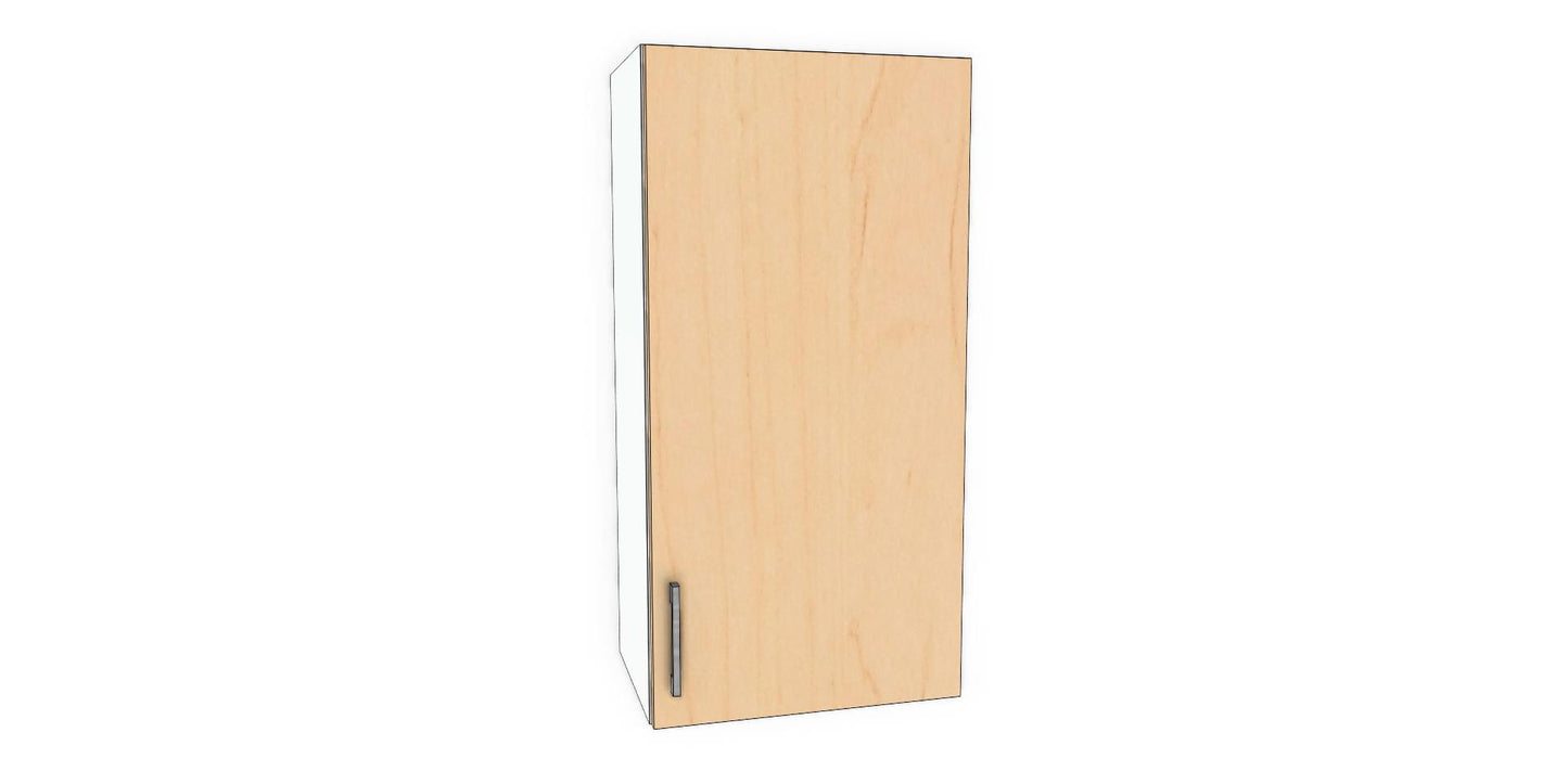 Single Door Wall Cabinet
