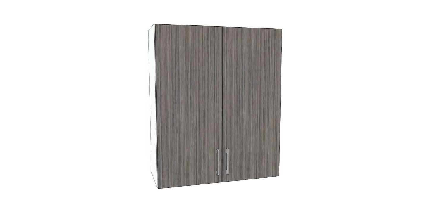 Double Door Wall Cabinet