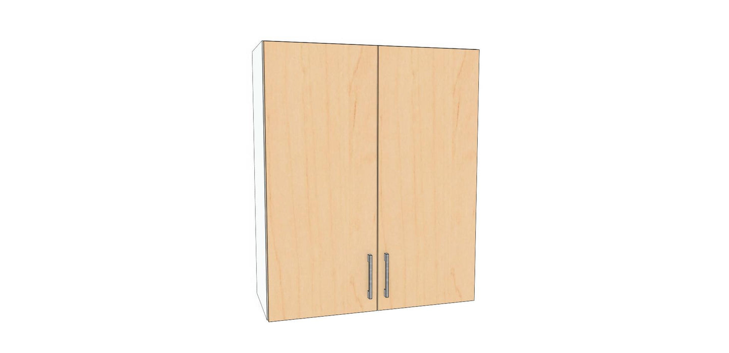 Double Door Wall Cabinet