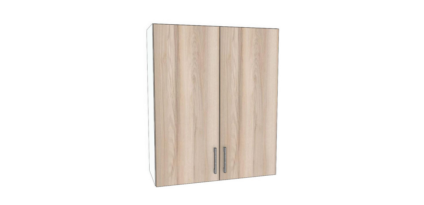 Double Door Wall Cabinet