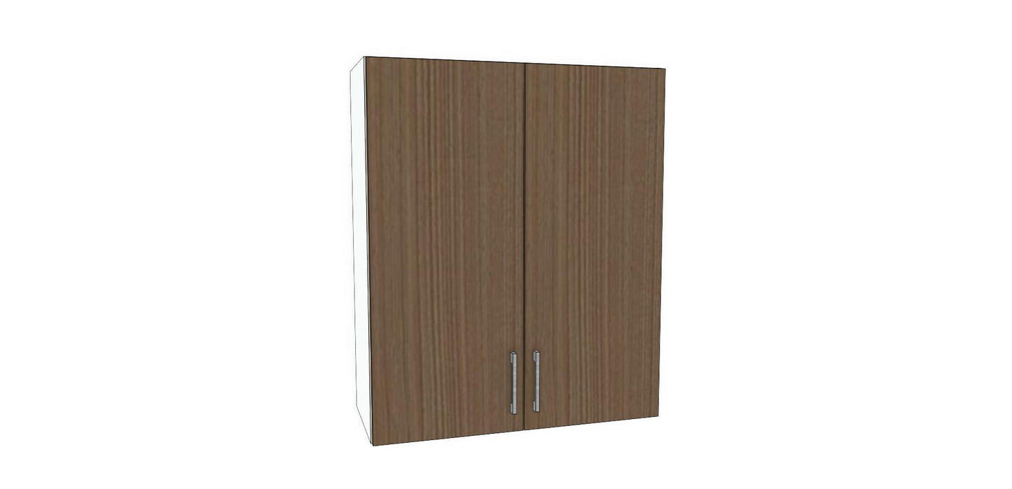 Double Door Wall Cabinet