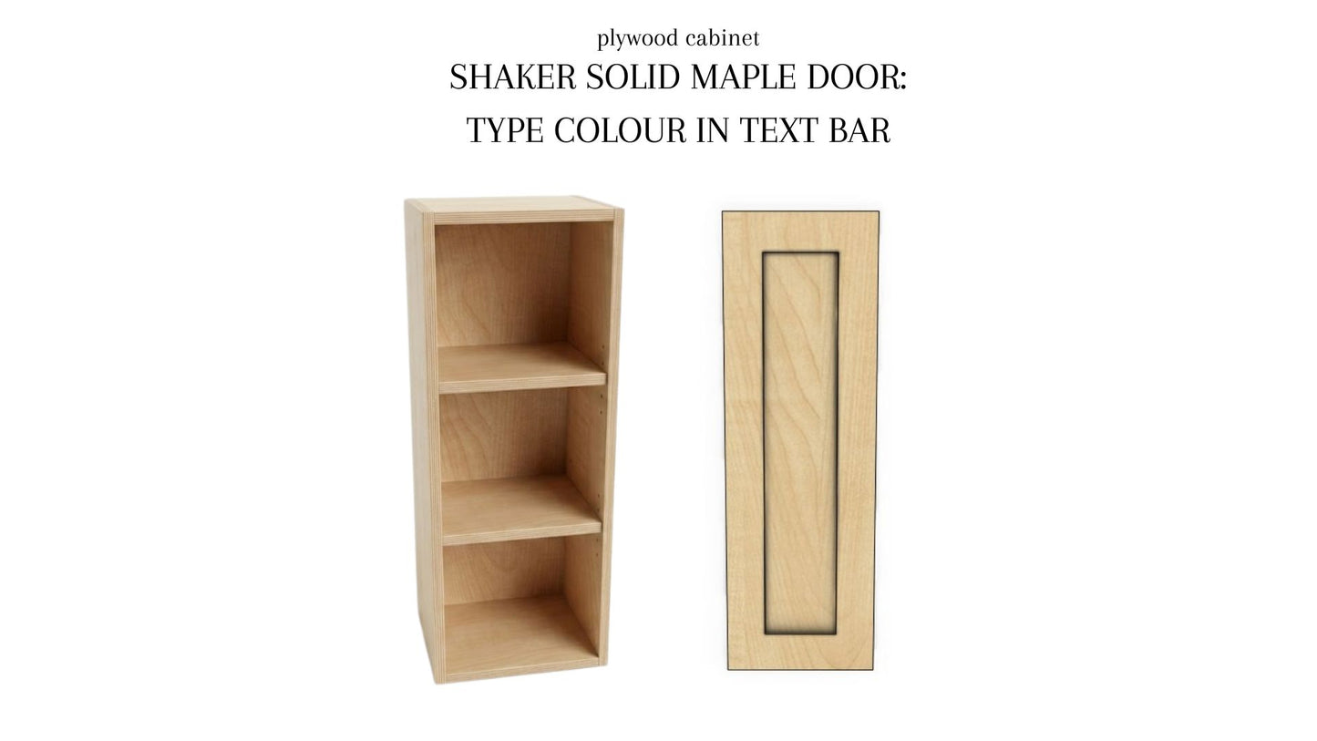 Single Wall Cabinet